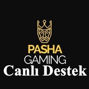 pashagaming canlı destek